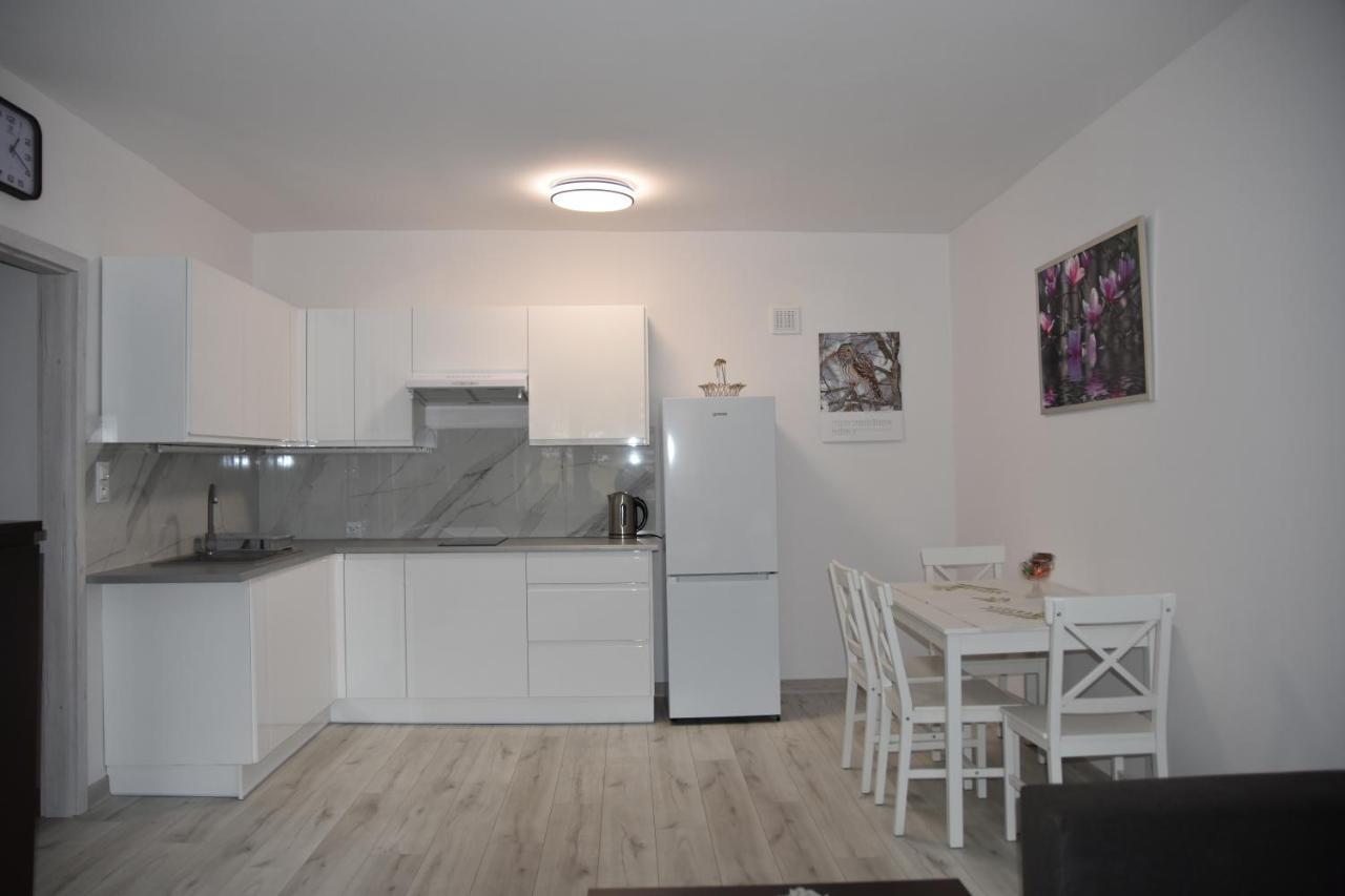 Apartament Apartament nad fontanną Rzeszów Zewnętrze zdjęcie