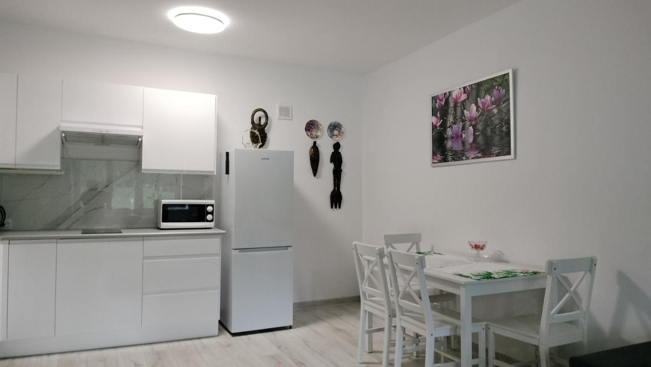 Apartament Apartament nad fontanną Rzeszów Zewnętrze zdjęcie