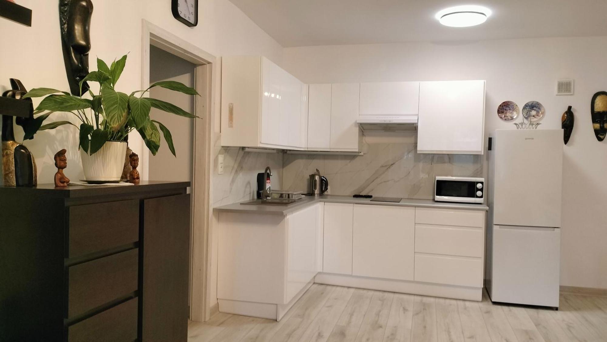 Apartament Apartament nad fontanną Rzeszów Zewnętrze zdjęcie